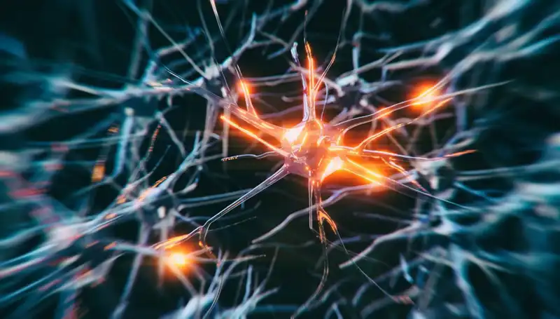 Alzheimer Vakalarındaki Şaşırtıcı Artışın Arkasındaki Nedenler