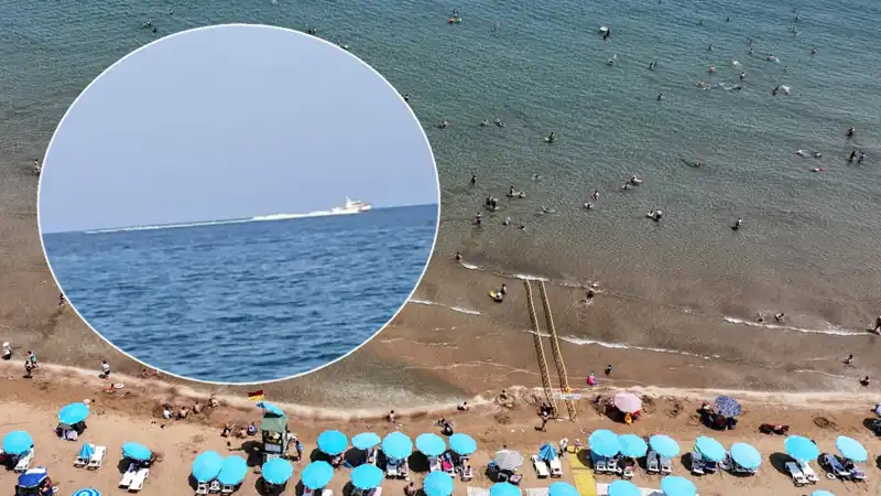 Plajda Köpek Balığı Korkusu: Güvenlik Önlemleri ve Gerçekler