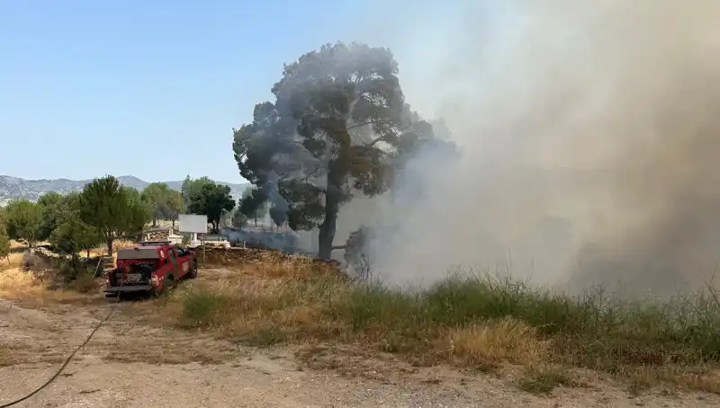 Muğla’da Kontrol Altına Alınan Orman Yangınları, Yerel Ekonomiye Etkileri Neler Olacak?
