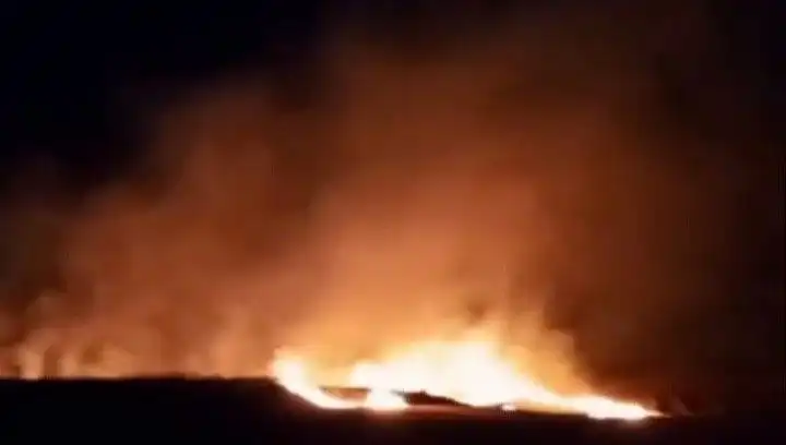 Tekirdağ'da 20 Dekar Buğday Alanı Kül Oldu: Yangınların Tarım Üzerindeki Etkisi