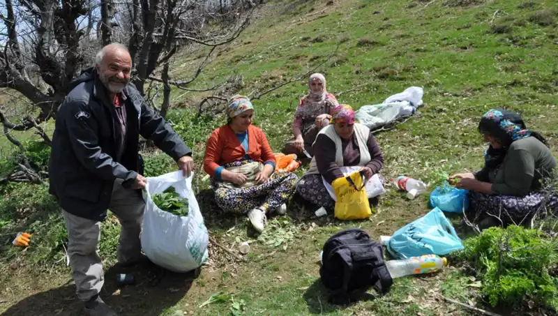 Kilosu 250 Lira: Aileler İçin Yürüyüşle Elde Edilen Geçim Kaynağı