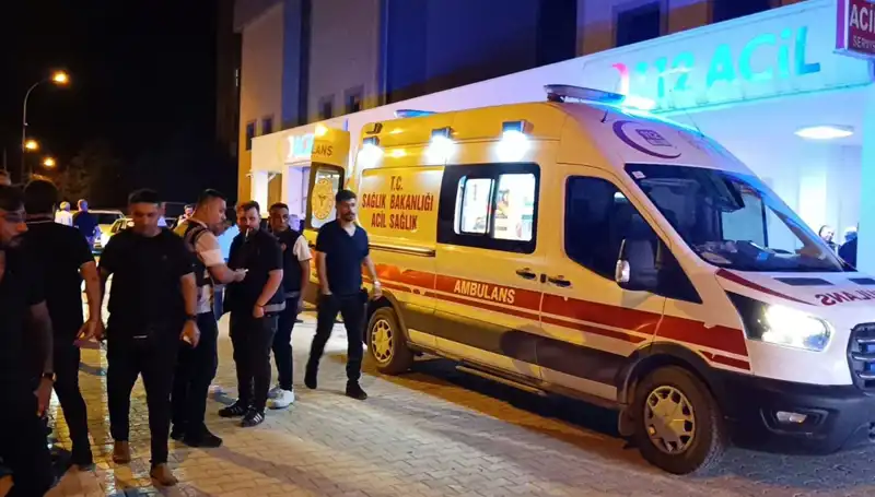 Kavga Dönüşündü: Kardeşi Kendi Hayatını Feda Etti