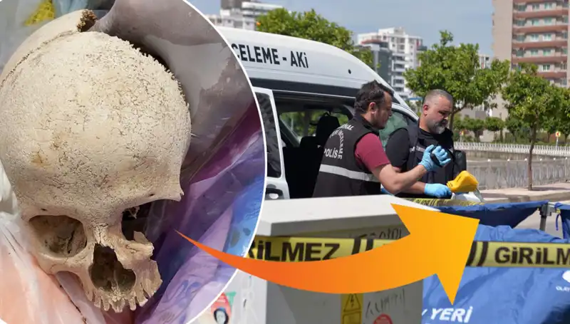Sitenin Çöpünden Bulunan Kafatasının Sırrı Ortaya Çıktı!