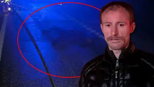 Kamyonetle Hayvana Çarptım Dedi Ancak Sonuç Felaket Oldu