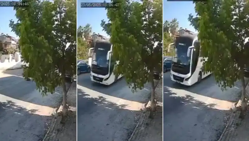 Yolda Yatan Köpeği Ezip Geçen Şoförün İhmaline Tepkiler Yağdı