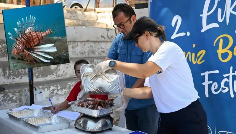 Antalya'da İstilacı Aslan Balığı Avlama Yarışması: Doğayı Koruma Amaçlı Etkinlik
