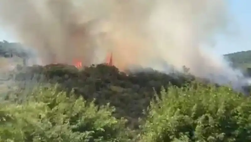 İstanbul’da Orman Yangını: Vatandaşların Tahliyesi ve Olayın Sebepleri
