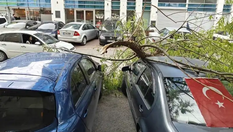 Kayseri'de Dalları Kıran Fırtına: Şehirdeki Etkileri ve Önlemler