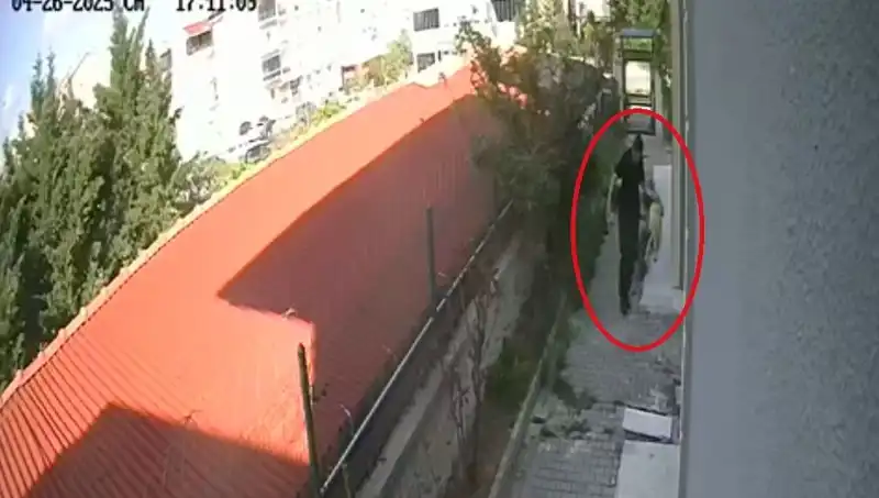 Skandal Olay: Veteriner Doktor Sahiplendiği Köpekleri Neden Parçaladı?