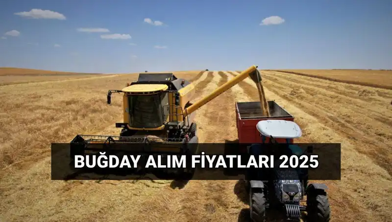 2025 Yılı Hububat Alım Fiyatları ve Ödemeleri Ne Zaman Hesaplarda?