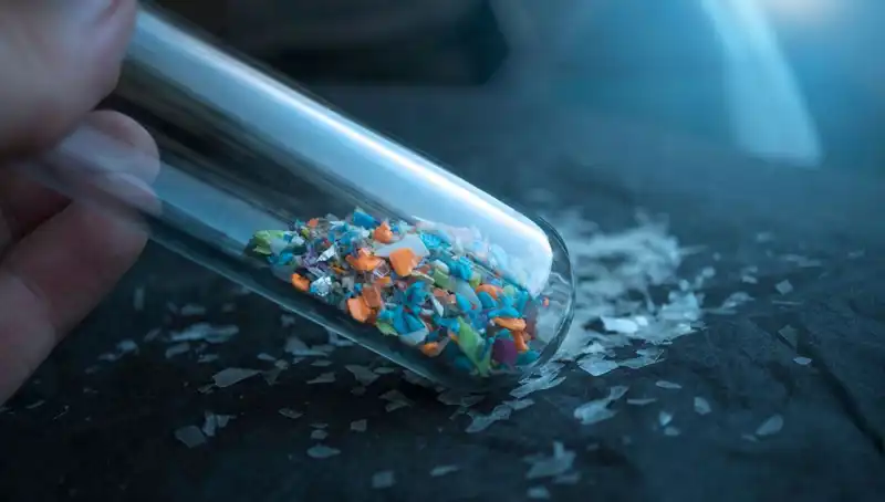 Mikroplastikler İnsan Beynine Ulaşıyor: Bilim Dünyasını Şok Eden Araştırma