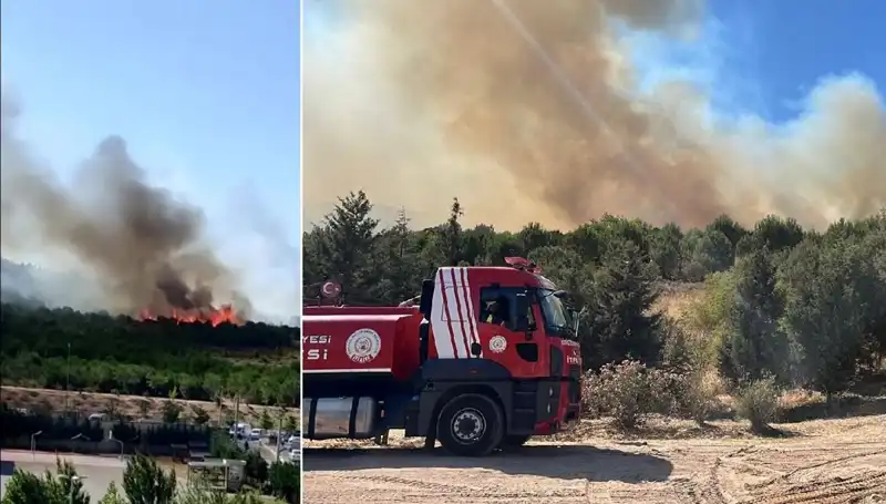 Gebze’de Meydana Gelen Orman Yangını: Korkutan Gelişmeler ve Son Durum