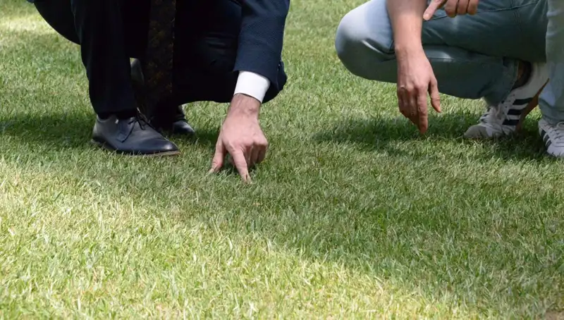 Stadyum Zeminindeki Tartışmalar: Son Durum ve Beklenen Gelişmeler