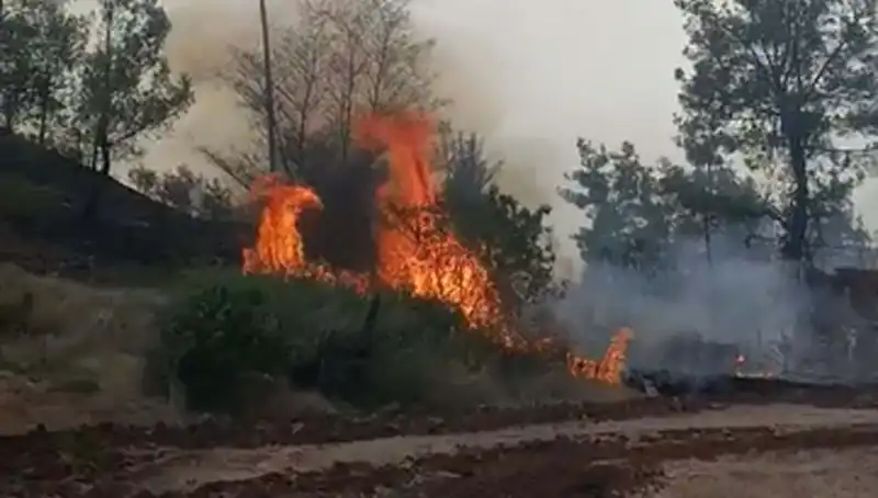 Denizli'de Sıcak Havalar Orman Yangınına Neden Oldu: 7 Hektar Zarar Gördü
