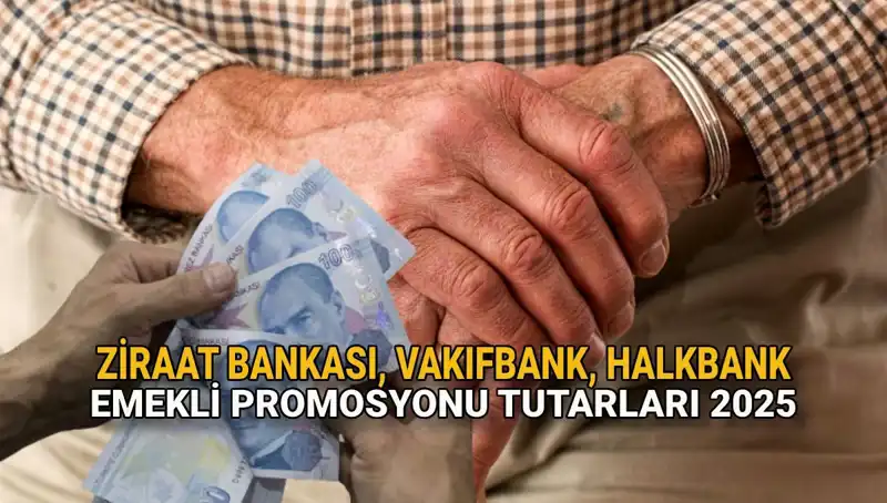 2025'te Kamu Bankaları Emekli Promosyonları: Ziraat, Vakıfbank ve Halkbank Fırsatları