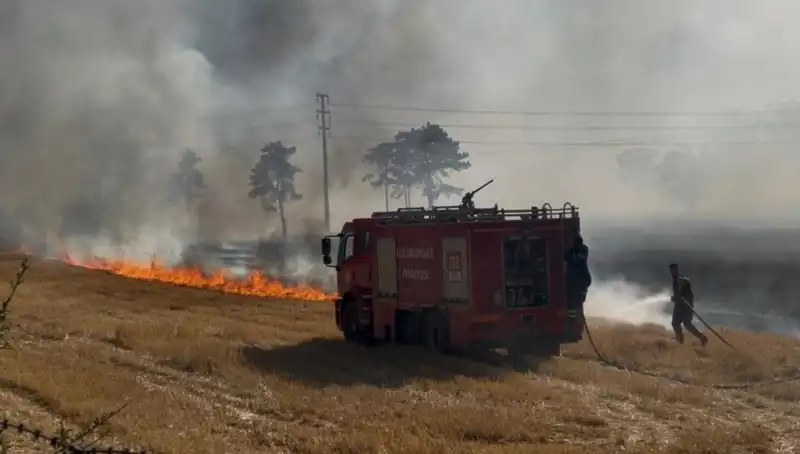 Kırklareli'nde Anız Yangını Korkuttu: Çiftçiler Tedirgin