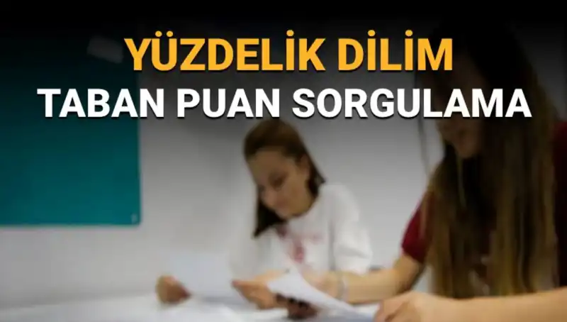 LGS 2025 Taban Puanları ve Yüzdelik Dilim Sorgulama Hakkında Her Şey