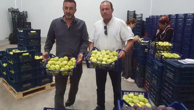 Mersinli Çiftçilerin Yüzü Gülüyor: İhraç Fırsatları ve Pazar Stratejileri