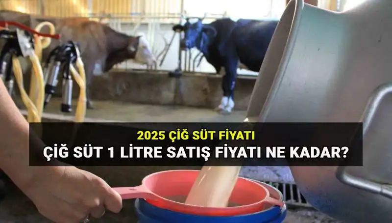 2025 Çiğ Süt Fiyatları Açıklandı: 1 Litre Süt Ne Kadar?