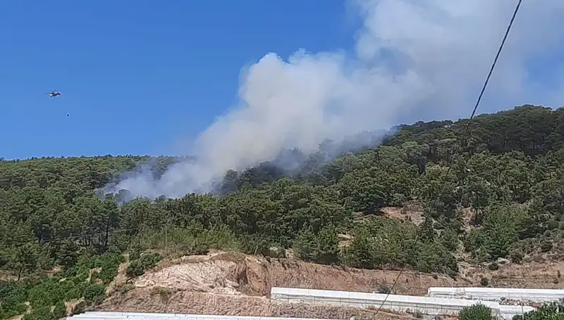 Kumluca’da Yangın Alarmı: Orman Alanları Tehlikede!