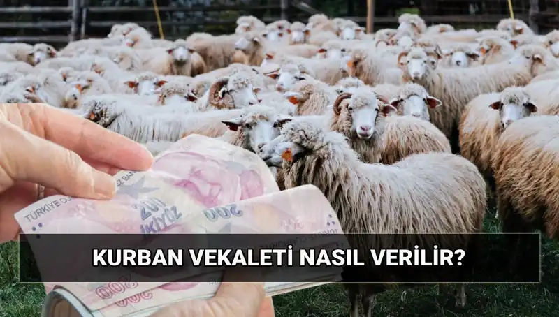 Vekaletle Kurban Kesimi: 2025 İçin Dikkat Edilmesi Gerekenler
