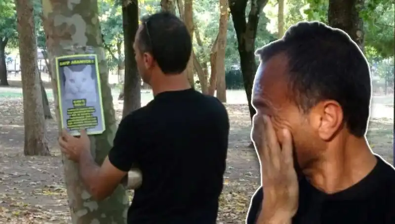 Kayıp Kedi İçin Yüreklere Dokunan Umut Arayışı: Ödül 10 Bin TL!