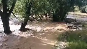 Mersin’in Dört Bir Yanında Sağanak Yağış: Sel Felaketi Başladı!