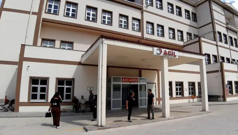 Bolu'da Tartışmalı Ayı Avı Kararı: Koruma mı, Kontrol Mü?