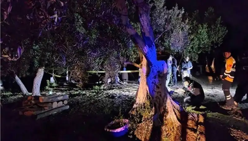 Çiftlikte Baltalı Vahşet: Olayın Ardındaki Şok Edici Gerçekler