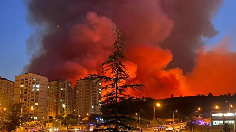 Bursa'yı Kasırga Gibi Saran Yangınlar: Şehirde Neler Yaşanıyor?