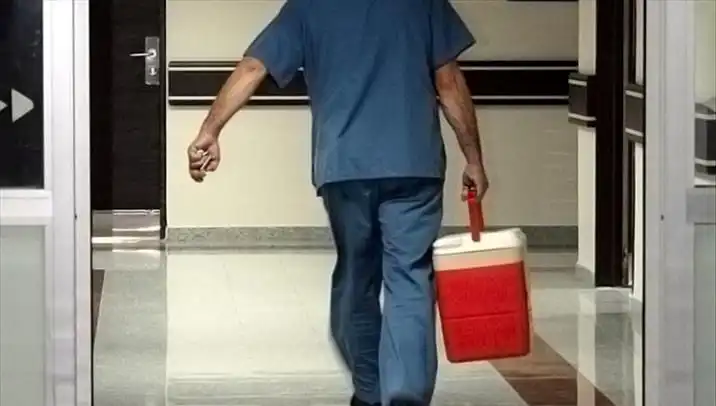 Organ Bağışı İçin Yeni Dönem: e-Devlet ve e-Nabız İle Kolaylık Sağlanıyor