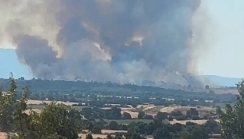 Komşu Ülkedeki Orman Yangını Edirne'yi Sarardı: Neler Oluyor?