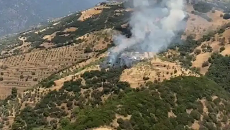 Aydın'da Korkutan Zeytinlik Yangını: Tarım Alanları Tehlikeye Girdi!