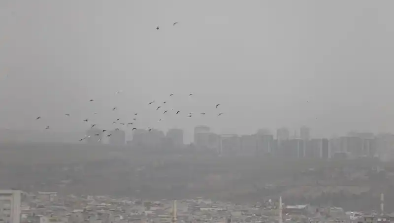 Şanlıurfa'da Görülen Toz Fırtınası Hayatı Olumsuz Etkiliyor