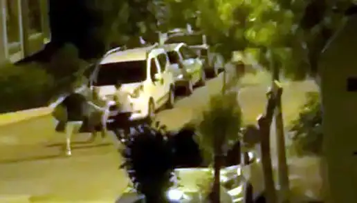 Avcılar'da Dört Kişilik Çete, Bir Vatandaşı Darp Etti: Anbean Kurtarıldı!