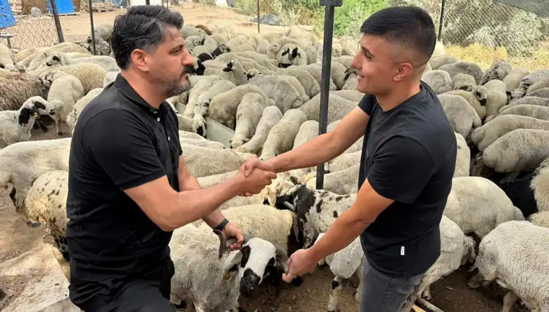Kurbanlık Alırken Dikkat! Tuz ve Sumak Hileleri Şişkin Gösteriyor