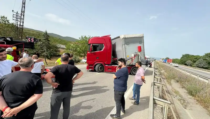 Seyir Halindeki Araçta Arı Sokuşu: Trafik Kilitlendi, Şok Anlar Yaşandı